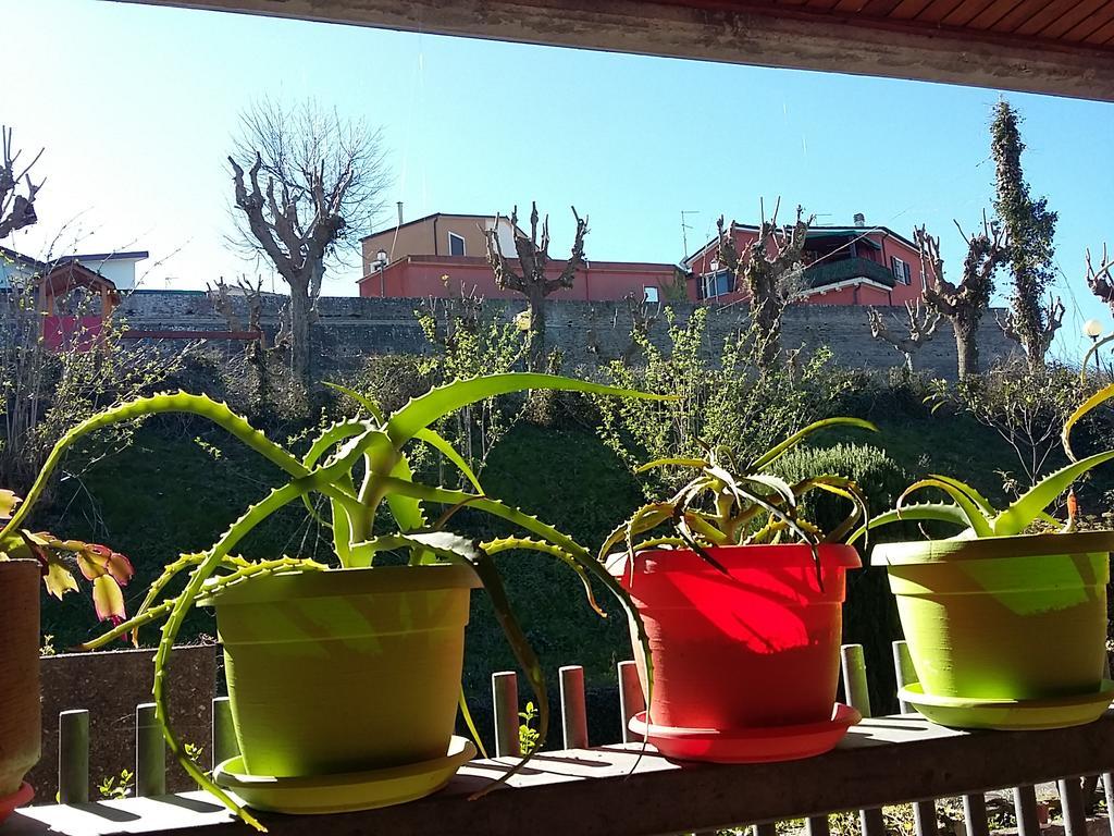 تافوليا Tarcisio B&B المظهر الخارجي الصورة